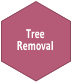 tree removal